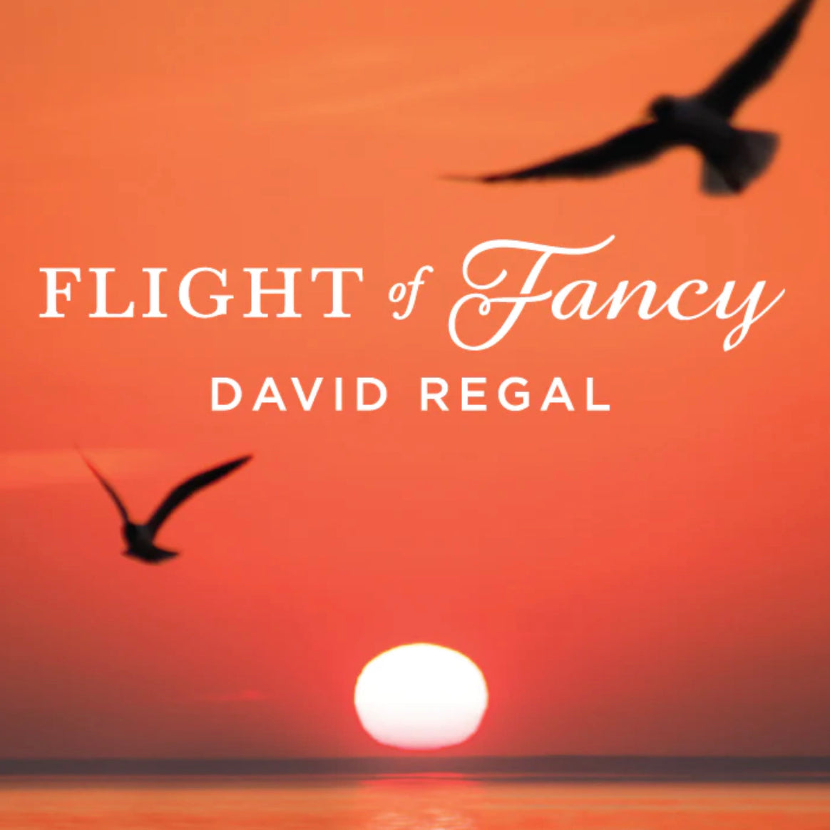 Flight of Fancy Magic Card Trick by David Regal