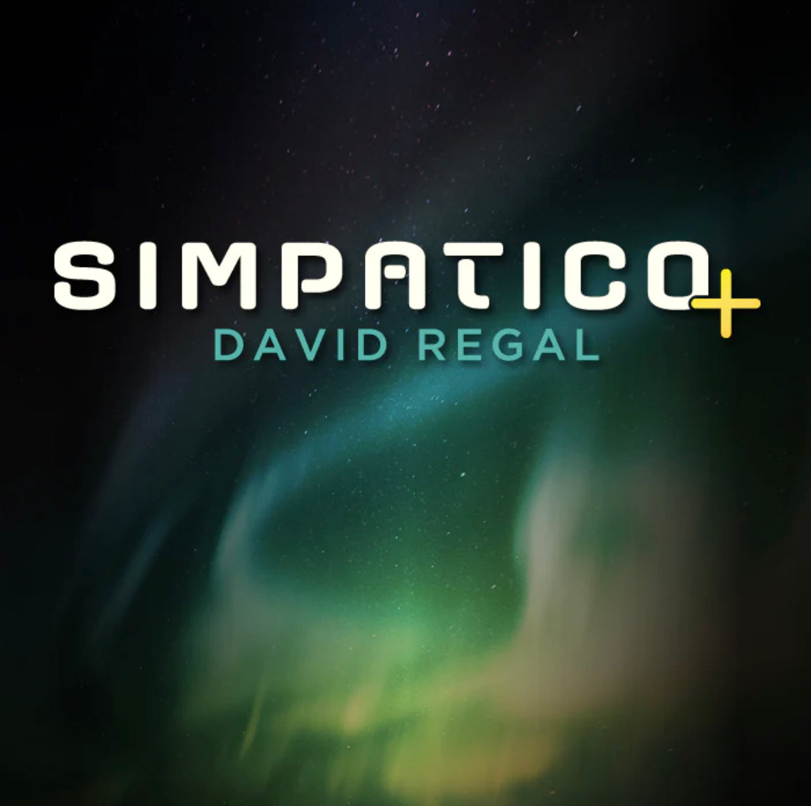 Simpatico Plus Magic Card Trick by David Regal